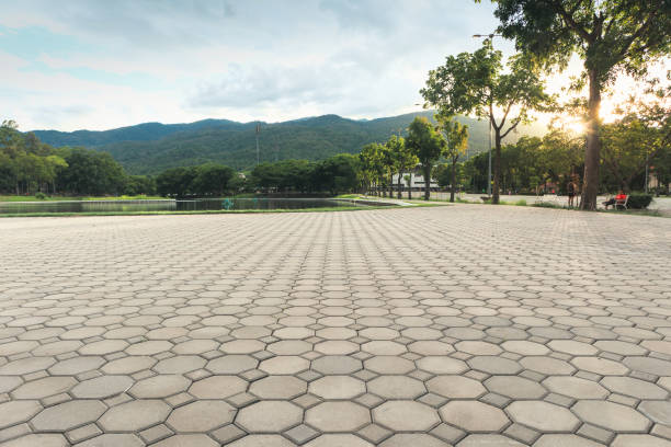 Best Driveway Pavers for Homes  in Dewart, PA